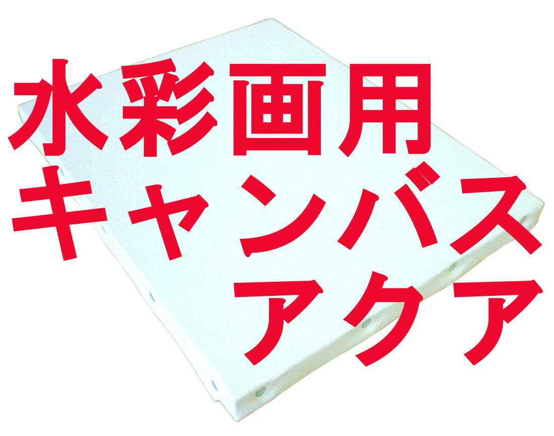 水彩キャンバス　アクア　クレサン　50S号 2p