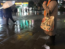 安政風呂敷