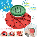 氷嚢 スイカ 氷のう アイスパック アイスバッグ 小さい ミニ 携帯 持ち運び 大口径 首 膝 冷やす ネッククーラー スポーツ 熱中症対策 暑さ対策 ゴルフ ...