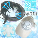 【1380円→1242円】帽子 クールパッド 保冷剤 頭冷やす ひんやりシート アイスパッド 冷感 冷却シート クールハット 大人 子ども 軽量 夏用 熱中症対策 暑さ対策 スポーツ ゴルフ 登山 キャンプ 農作業 自転車 ヘルメット 冷却グッズ