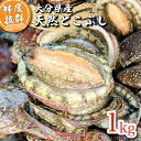 【国産 天然 トコブシ】約1キロ サイズ混合 とこぶし あわび ながれこ ナガレコ フクダメ 産地直送 新鮮 鮮魚 魚介 貝 煮物 ギフト 大分県 佐伯市 蒲江...