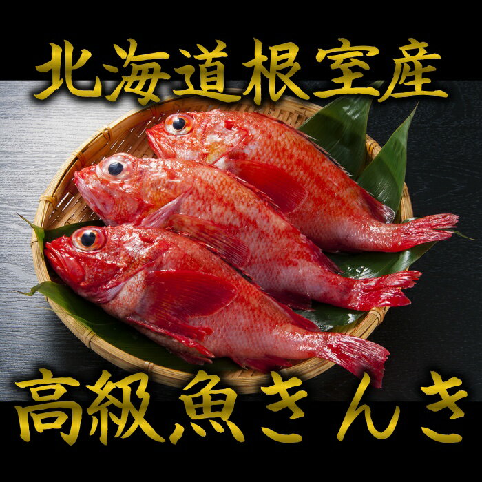 根室産きんき めんめ 大サイズ3kg前後10尾前後 キンキ キチジ 吉次 高級魚 鮮魚 焼き魚 煮魚 魚 お歳暮 御歳暮 贈答…