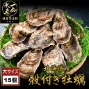 北海道厚岸産 特大殻付き牡蠣 15個入り 牡蠣 カキ かき 