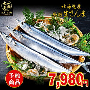 ランキング入賞！ 北海道根室産 厳選生さんま 2kg詰め120g前後 16尾前後 さんま サンマ 秋刀魚 生サンマ 魚 さんま丼 刺身 焼き魚 海鮮丼 北海道産 北海道グルメ お中元 御中元 贈答用 御祝 プレゼント ギフト 記念日