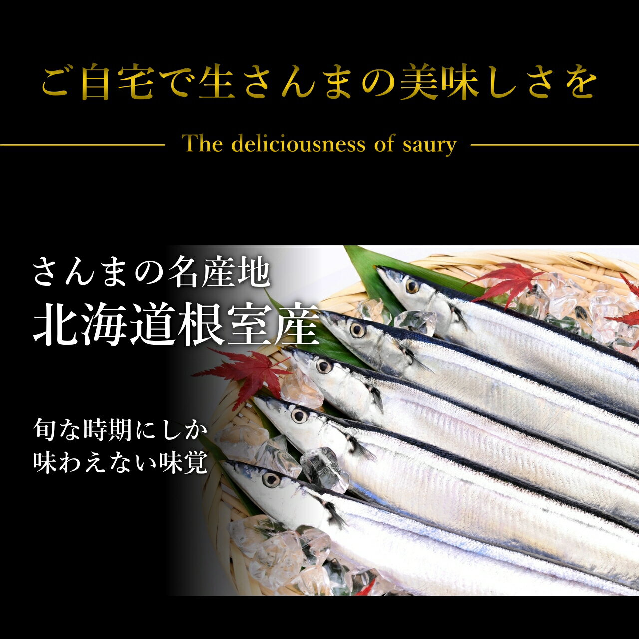 北海道根室産 厳選生さんま 2kg詰め120g前後 16尾前後 さんま サンマ 秋刀魚 生サンマ 魚 さんま丼 刺身 焼き魚 海鮮丼 北海道産 北海道グルメ お中元 御中元 贈答用 御祝 プレゼント ギフト 記念日