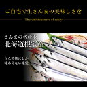 ランキング入賞！ 北海道根室産 厳選生さんま 2kg詰め120g前後 16尾前後 さんま サンマ 秋刀魚 生サンマ 魚 さんま丼 刺身 焼き魚 海鮮丼 北海道産 北海道グルメ お中元 御中元 贈答用 御祝 プレゼント ギフト 記念日 3