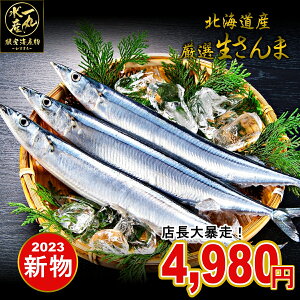 【生さんま】旬の魚をお取り寄せしたい！秋刀魚のおすすめは？