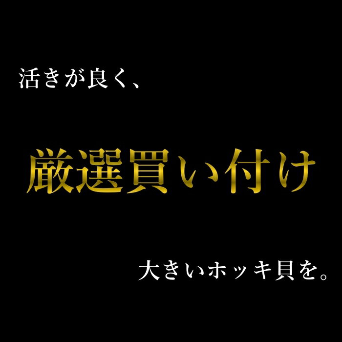 500円OFFクーポン券発行中！【送料無料】北海道根室産 特大ホッキ貝 15個入り(ホッキ/ほっき/北寄/ほっき貝/北寄貝)(ホッキご飯/ほっきご飯/ホッキ飯/刺身)（お歳暮/御歳暮/贈答用/御祝/プレゼント/ギフト/記念日）(北海道グルメ/北海道産/厚岸産）