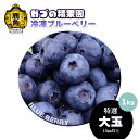 【特選】完熟冷凍ブルーベリー[大玉]約1kg【農薬不使用】 その1