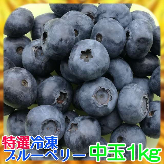 【100％国産】完熟冷凍ブルーベリー[中玉]約1kg【農薬不使用】※化粧箱なし※