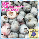 【送料込】訳あり冷凍ブルーベリー【たっぷり約2kg】スムージーにピッタリ！【農薬不使用】