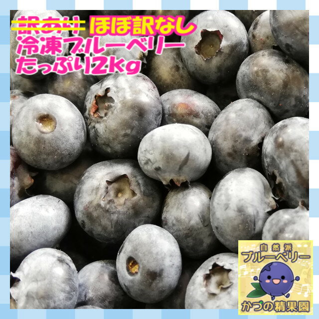 【送料無料】【100％国産】ほぼ訳なし冷凍ブルーベリー【たっぷり2kg】スムージーにはもったいない！？【農薬不使用】