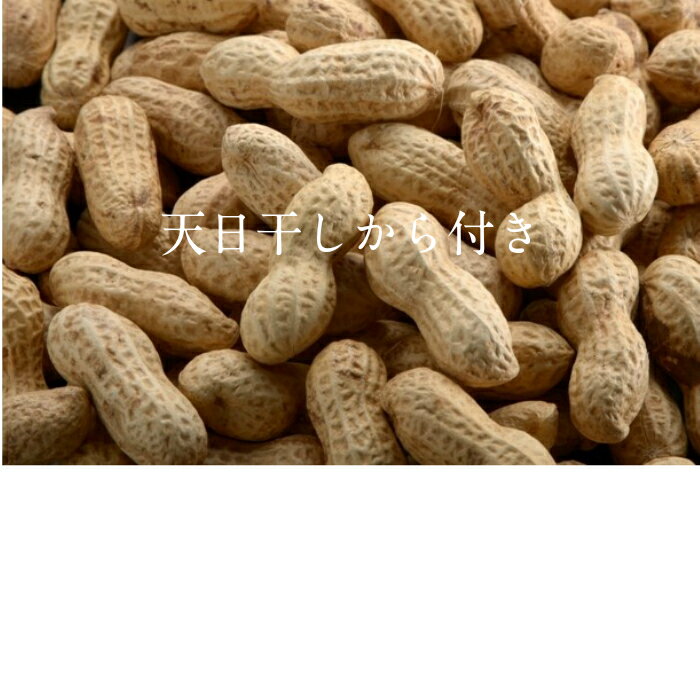 最高級の味　千葉半立種専門のかずさ屋の天日干しから付き落花生♪皆さまに自信を持ってお薦めできる逸品です。天日干しから付き落花生　300g