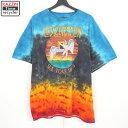 楽天Vintage古着屋 KAZZINTimerecycler00s レッドツェッペリン Led Zeppelin タイダイ柄 バンドTシャツ 古着 ★ メンズ 表記XXLサイズ マルチカラー