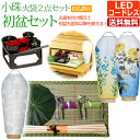 【ポイント5倍】初盆セット 『初盆・新盆セット モダン 小珠 火袋2点セット(白紋天&美濃菊または桔梗)【お仏膳付き】【K-4】』 LED 新盆 盆提灯 ミニ ...