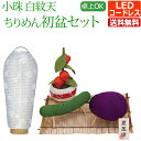 【ポイント5倍】『 コンパクト 初盆セット 新盆セット 小珠 白紋天 ちりめん お盆飾りセット【T-1】』 盆提灯 ミニサイズ コードレス かわいい おしゃれ ...