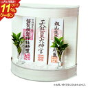 【10/30全品ポイントアップ!】神棚 モダン シンプル 『 モダン神棚 壁掛タイプ Neo210W 』 リビング神棚 ( 小 おしゃれ マンション 神社 三社 国産 お札 壁掛け 洋風 合格祈願 板 桧 ヒノキ リビング 檜 小さい ミニ ミニ神棚 かみだな コンパクト オシャレ な デザイン)