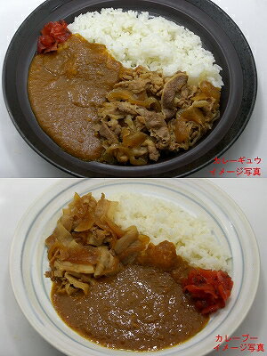 【リニューアル】カレー［10食セット］(冷凍食品)