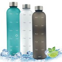 Conburrod 1リットル 軽量 ウォーターボトル 水筒 1000ml タイムマーカー付きウォーターボトル 透明の水筒 ミント モチベーション測定 時間と量付き BPAフリーのつや消しプラスチック ねじ込み(3)