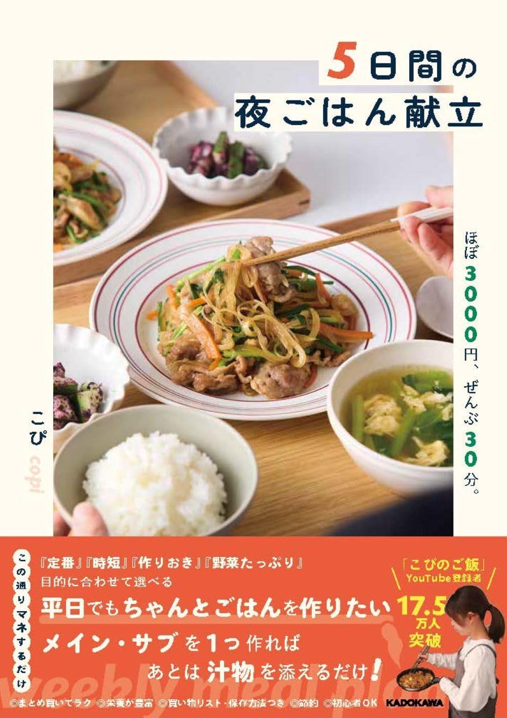 5日間の夜ごはん献立 節約レシピ本 3000円以内 30分で完成 晩ごはん...