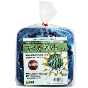 ・入数:10枚入 ・用途:スイカ・メロン用クッション材