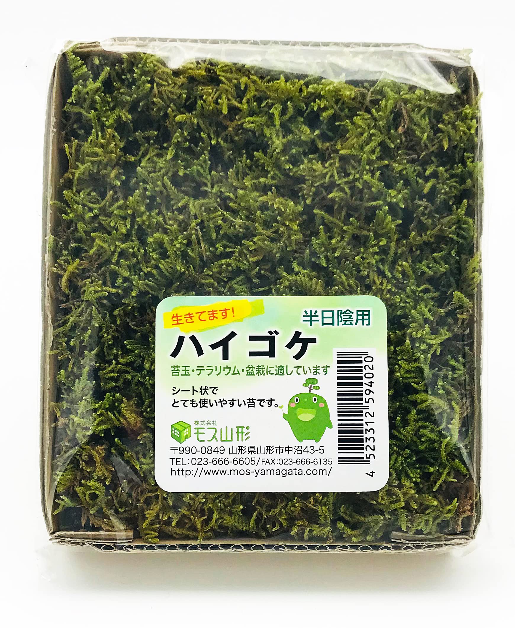 楽天市場】ハイゴケ（ガーデニング・農業｜花・ガーデン・DIY）の通販