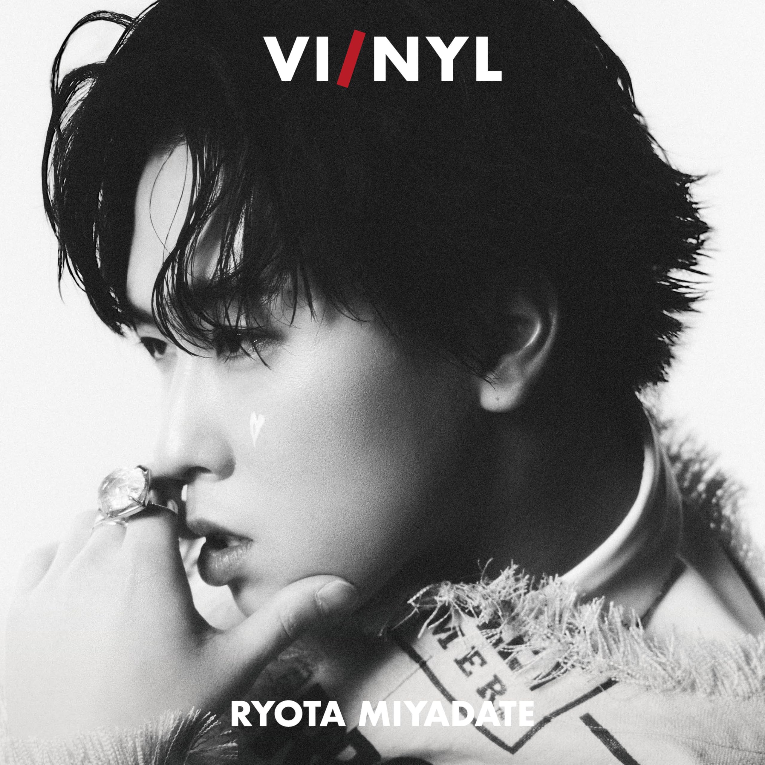 雑誌 VI/NYL #029 宮舘涼太 表紙巻頭特集 インタビュー掲載 撮り下ろし写真集 アートカルチャー誌 読み物 保存版 コ…