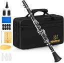 BQKOZFIN クラリネット Clarinet B♭調 ニッケルメッキ 17 キー ABS樹脂管体 初心者向け 管楽器セット F-300 手入れが簡単 ブラック(演奏用)