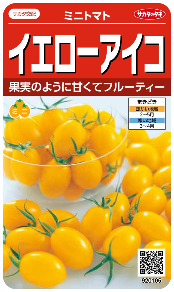 実咲野菜 イエローアイコ ミニトマト