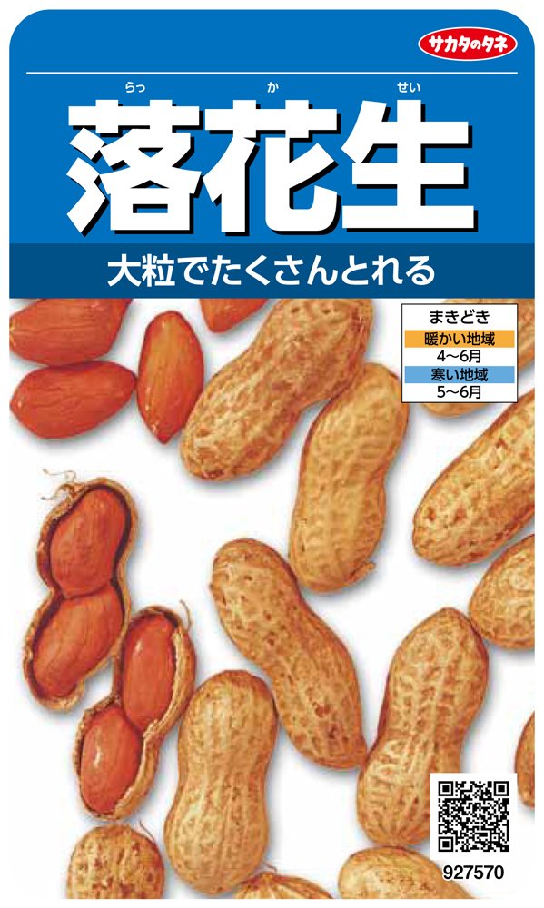 ・切替月:11月 ・詰量:45ml ・発芽率:75% ・採苗本数:20 ・春秋扱い:春のみ品種 ・まきどき:春
