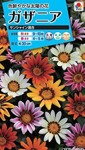 タキイ種苗 花種 ガザニア サンシャイン混合