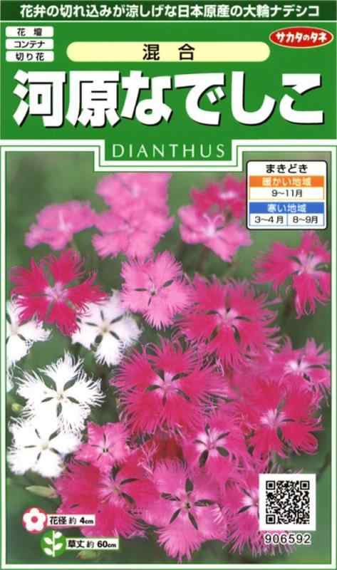乐天商城 - サカタのタネ 実咲花6592 河原なでしこ 混合 00906592