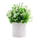 TOSSOW 人工観葉植物 人工植物 インテリア 造花 鉢植え 詰め合わせ 装飾用 おしゃれ 室内 ギフ 人工観葉植物 造花 フェイクグリーン 枯れない インテリア グリーン(4)