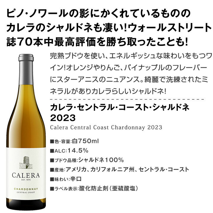 ������̵���ۤ��Υ���ե���˥��Υ��ޥ͡�����ƥ��Υ����Ϥμ��Ϥ�ǽ�Ǥ�������2�ܥ��åȡ�