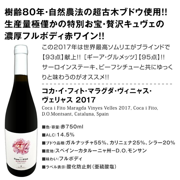 ������̵�������Ӿ�¤�ȥȥˡ������Υ�����ǻ���ե�ܥǥ��֥磻��3�ܥ��å�!!