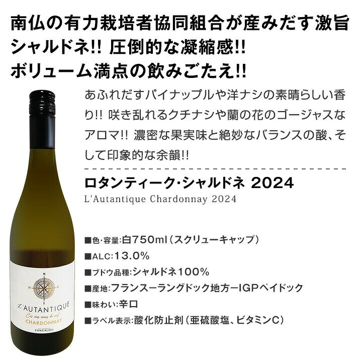 【送料無料】第238弾 美味しい辛口白ワインだけを当店が厳選!!特大感謝の大満足白...