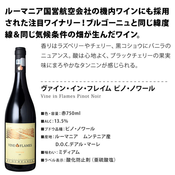 �֥磻�� ���å� ����̵�� �֥르���˥� �����ˤ�������Ǥۤ��� ���� �� �ԥΡ��Υ�� 3�ܥ��å� �磻�� �磻�󥻥å� �֥磻�󥻥å� �� ������� ���ե� �ץ쥼��� �ԥΥΥ�� �������ȥ�ꥢ ��եꥫ