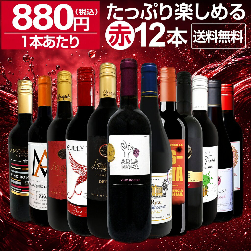 赤ワイン フルボディ セット ミディアムボディ ワインセット 赤 ワイン ギフト 箱 京橋ワイン 京橋わいん 12本 750ml 飲み比べ プレゼント 送料無料 第96弾 1本あたり880円(税込) 採算度外視の大感謝 厳選赤ワイン12本セット たっぷりワインを楽しめる 大満足 飲み比べセット