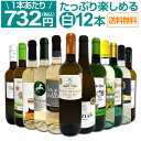 【送料無料】第42弾！1本あたり732円(税込)!!採算度外視の大感謝!厳選白ワイン12本セット