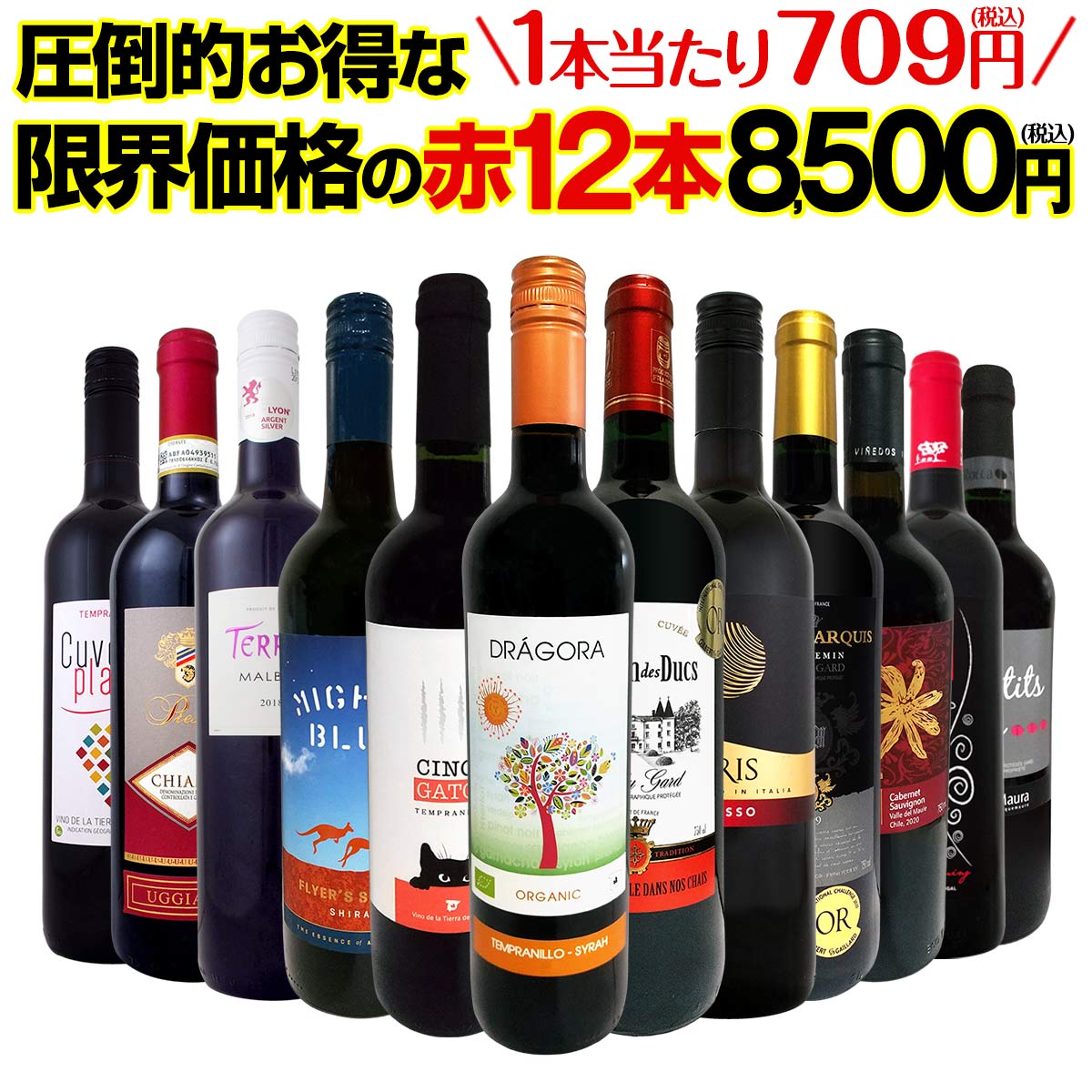 【送料無料】第26弾！1本あたり709円(税込)！特選スーパーバリュー赤！当店厳選の旨安赤ワインだけ！圧倒的お得な限界価格の赤12本8,500円(税込)！