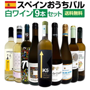 【送料無料】おうちタパスにピッタリ！スペイン各地の白飲み比べ！おうちバル白ワイン9本セット！