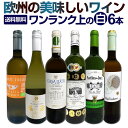 白ワインセット 【送料無料】第173弾！当店厳選！これぞ極旨辛口白ワイン！『白ワインを存分に楽しむ！』味わい深いスーパー・セレクト白 750ml 6本セット ワイン ワインセット 辛口 シャルドネ 金賞ワイン 飲み比べ 詰め合わせ ギフト プレゼント 贈り物