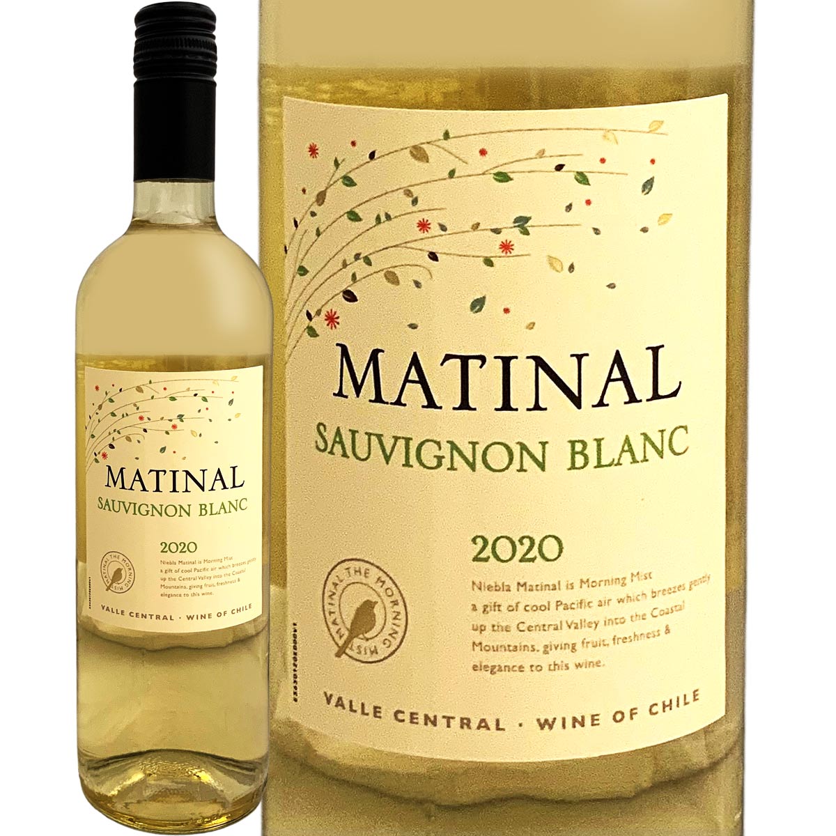 マティナル・ソーヴィニョン・ブラン（※最新ヴィンテージでお届けとなります）【チリ】【白ワイン】【750ml】【ミディアムボディ】【辛口】