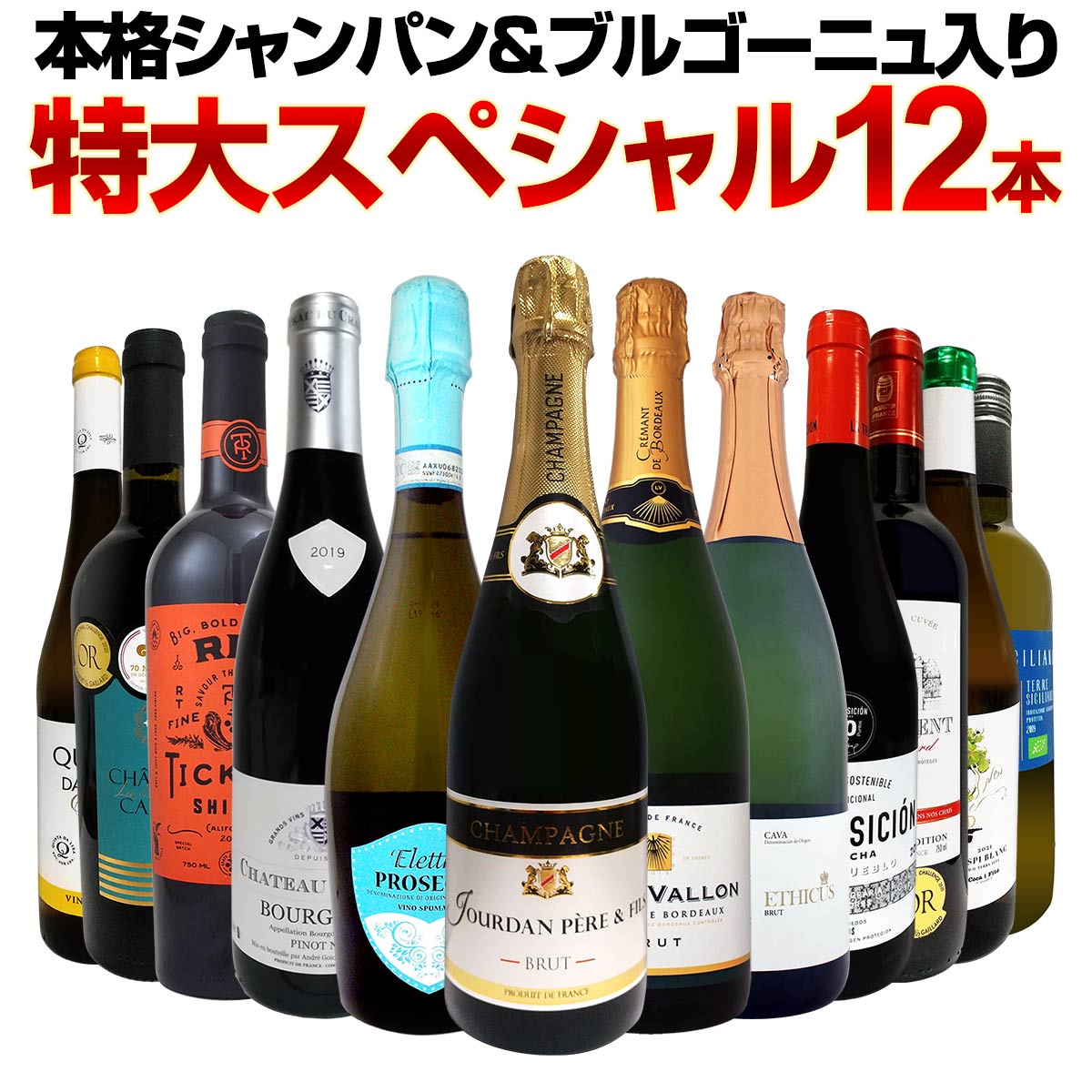 【送料無料】第30弾！本格シャンパン＆ブルゴーニュ入り！特大スペシャル12本セット！ ワイン ワインセット セット 赤ワインセット 赤ワイン 白ワインセット 白ワイン スパークリングワインセット 飲み比べ ギフト プレゼント 辛口 750ml