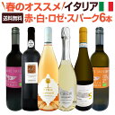 【送料無料★100セット限り】≪赤・白・ロゼ・スパーク≫春のオススメ激旨イタリアワイン6本セット!!