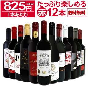 赤ワイン セット 送料無料 第63弾 1本あたり825円(税込) 採算度外視 の大感謝 厳選 赤ワイン 12本セット ワイン ワインセット 赤ワインセット 赤 飲み比べ ギフト プレゼント 750ml 12本 wine