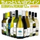 ●送料無料お得10本セット《ボーグル》 シュナン ブラン カリフォルニア Bogle Vineyards Chenin Blanc California 750ml現行年 贈答ギフト対応可 カリフォルニア白ワイン