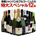 【送料無料】第41弾！本格シャンパン＆ブルゴーニュ入り！特大スペシャル12本セット！