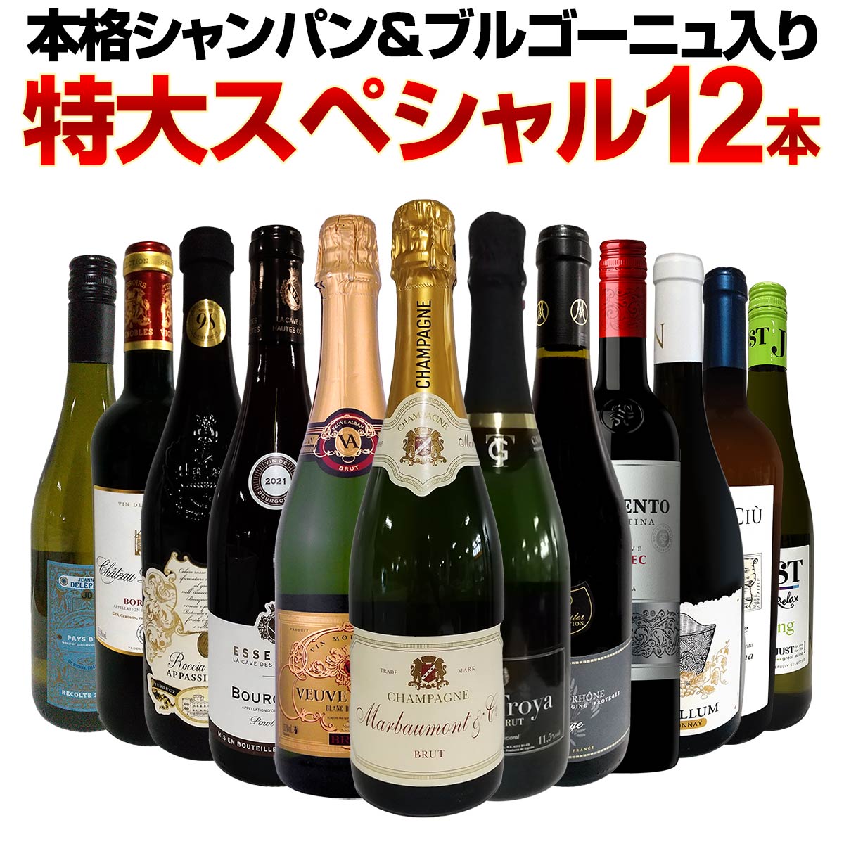 【送料無料】第44弾！本格シャンパン＆ブルゴーニュ入り！特大スペシャル12本セット！