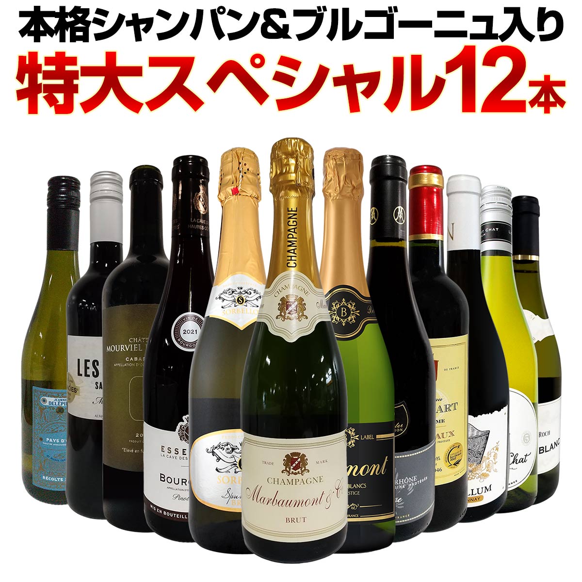 【送料無料】第46弾！本格シャンパン＆ブルゴーニュ入り！特大スペシャル12本セット！